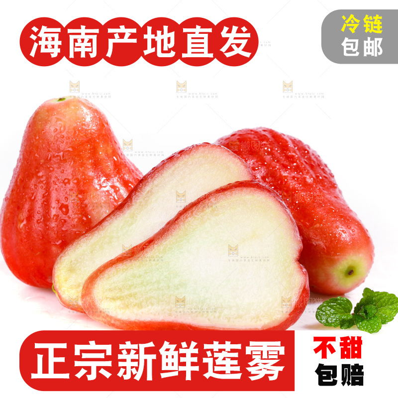 白底上的新鲜莲雾