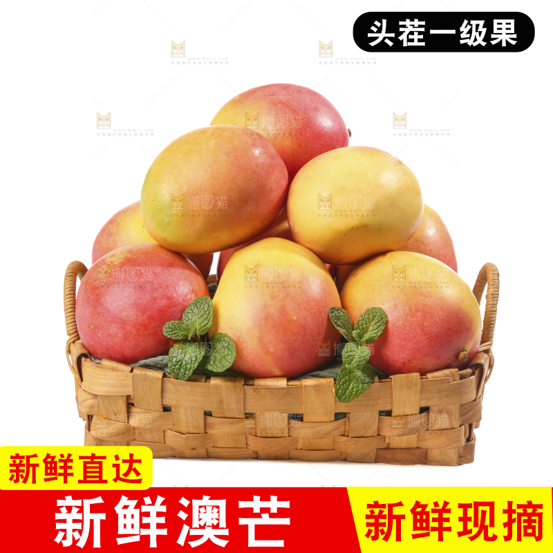 白底上的澳芒