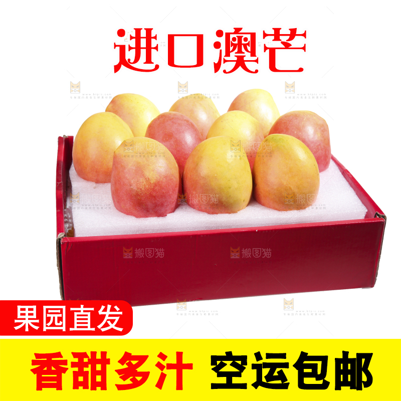 白底上的澳芒