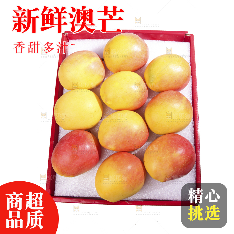 白底上的澳芒