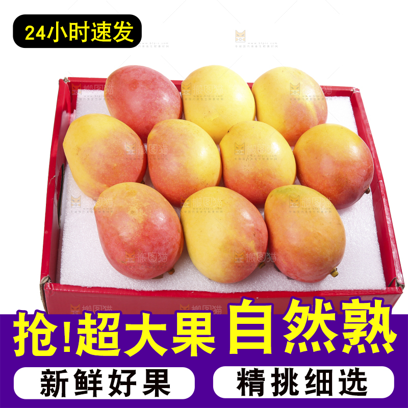 白底上的澳芒