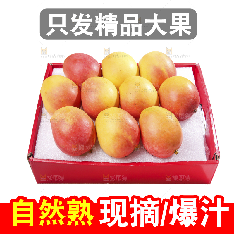 白底上的澳芒