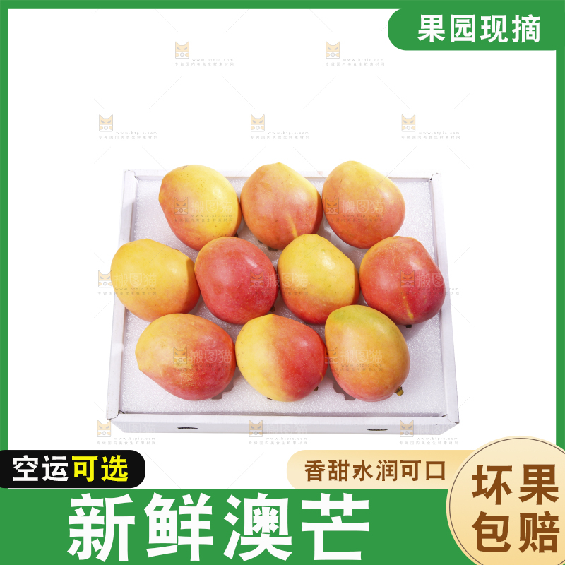 白底上的澳芒