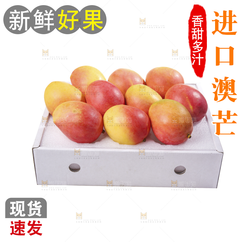 白底上的澳芒