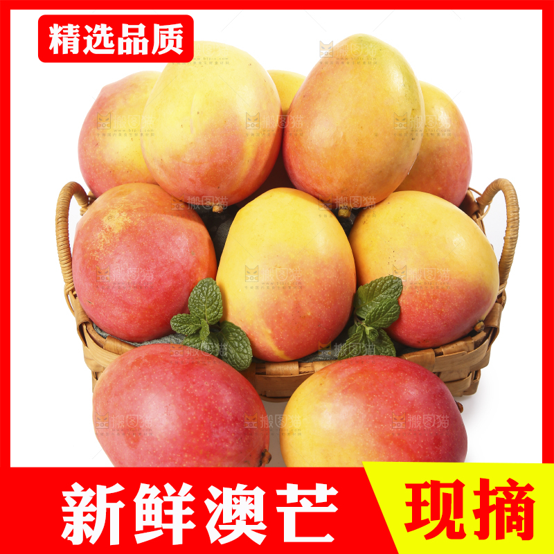 白底上的澳芒
