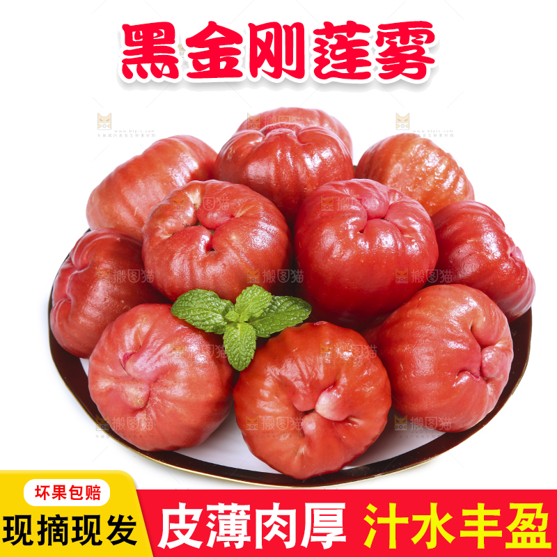 白底上的新鲜莲雾