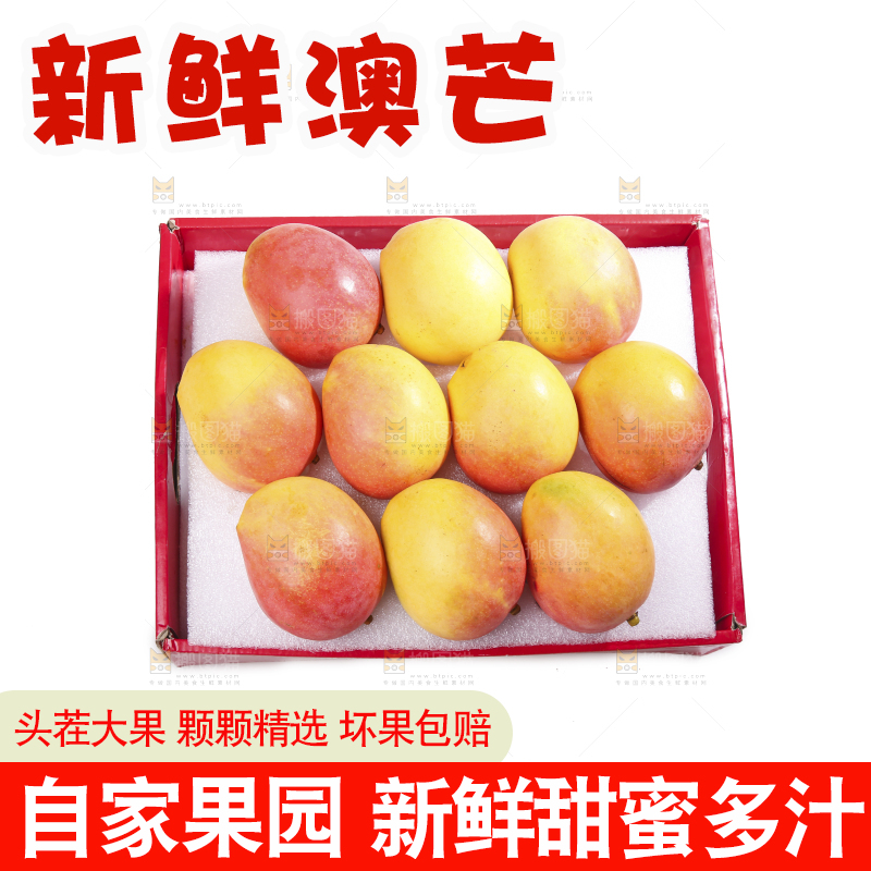 白底上的澳芒