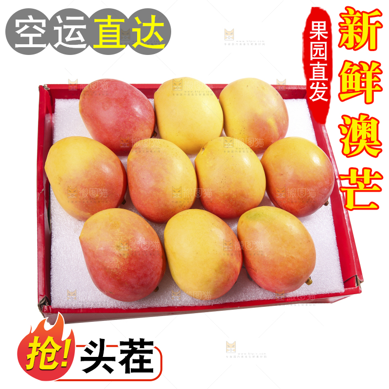 白底上的澳芒