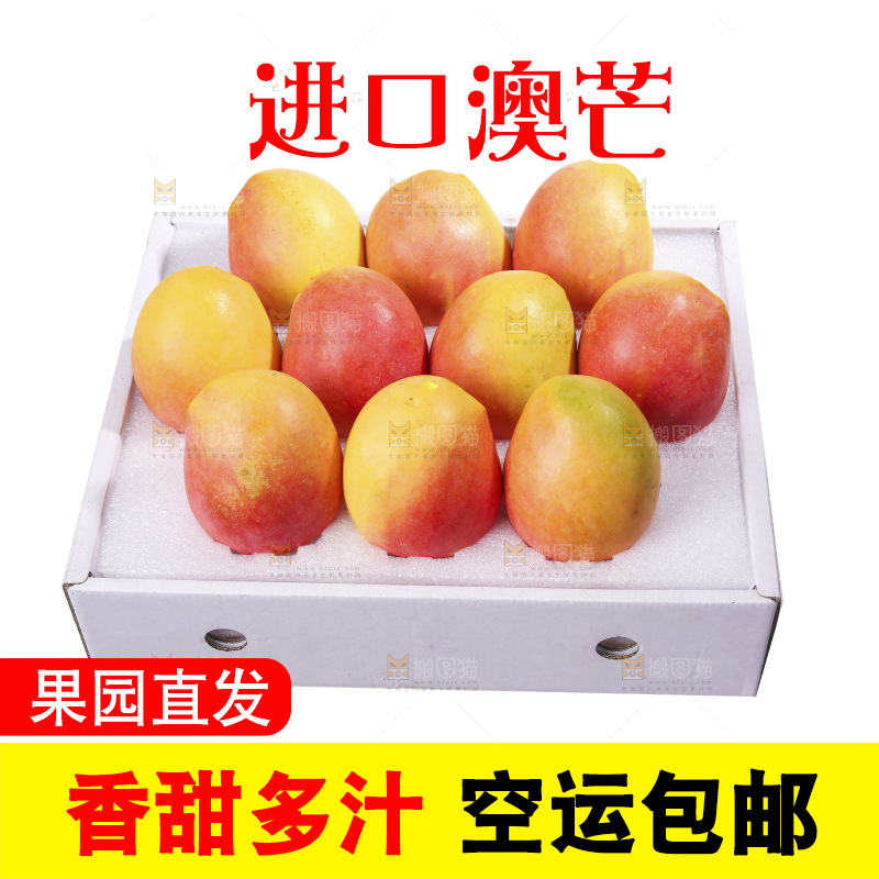 白底上的澳芒