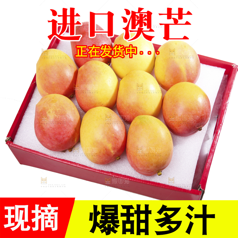 白底上的澳芒