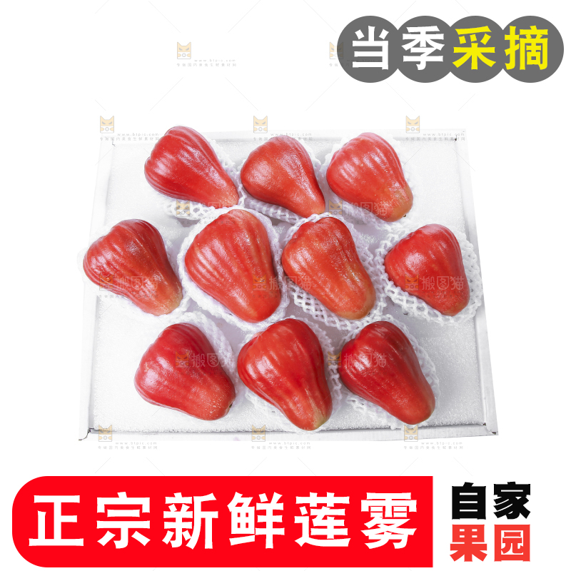 白底上的新鲜莲雾