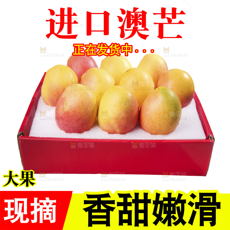 白底上的澳芒