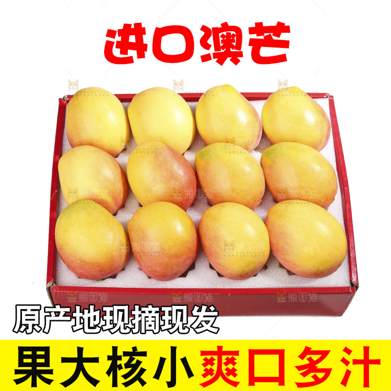 白底上的澳芒