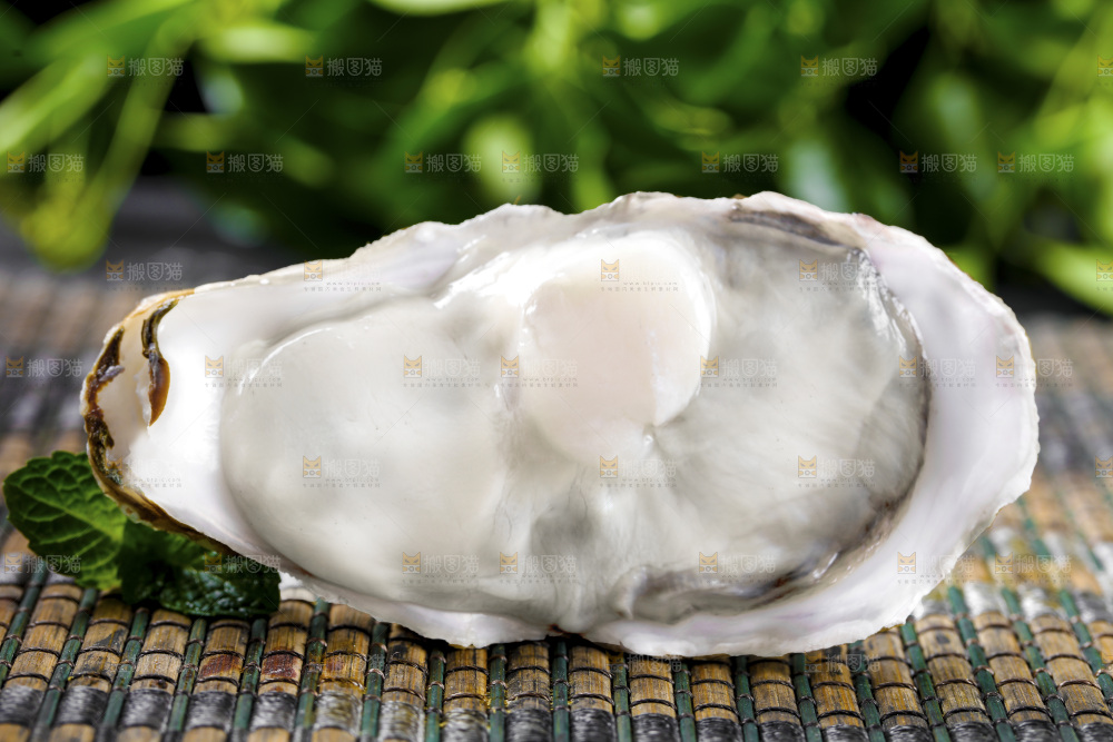 生蚝
