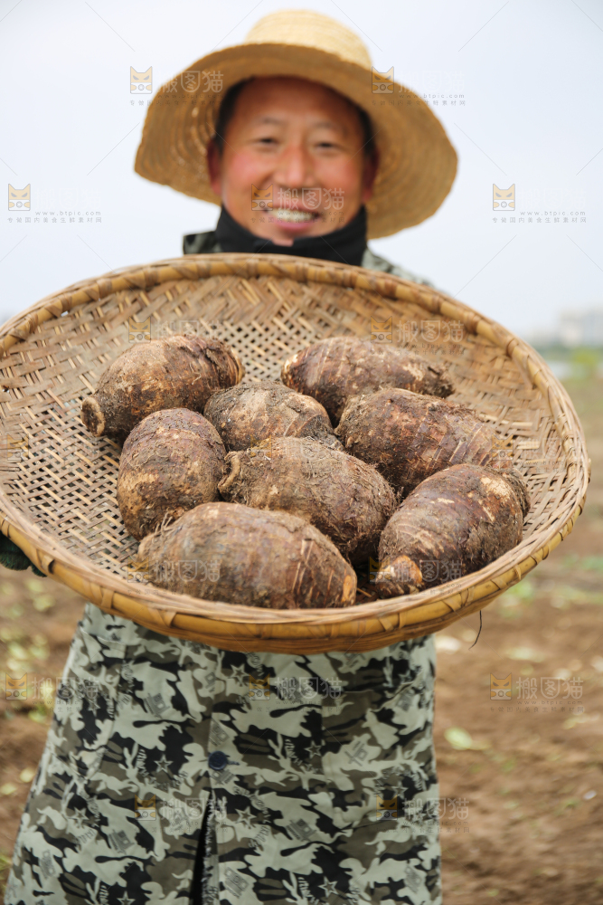 手里拿着荔浦芋头