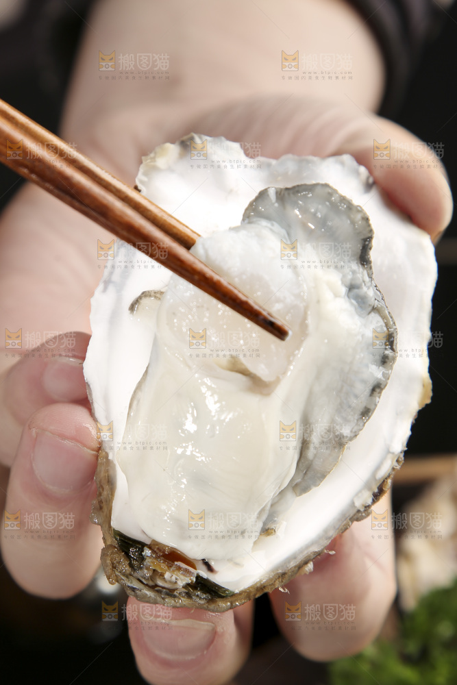 深底上的乳山生蚝