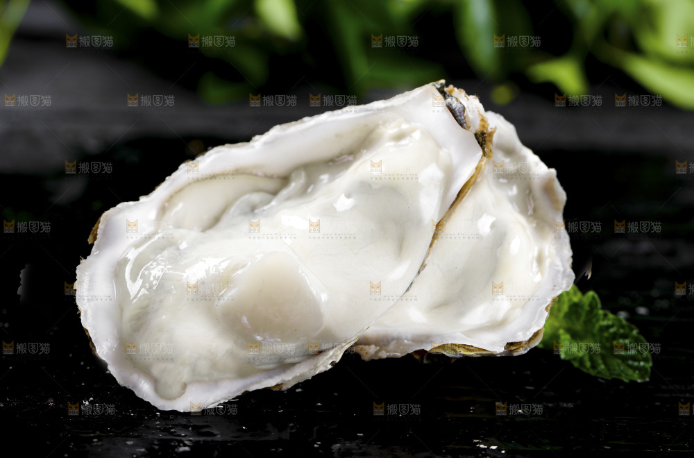 深底上的乳山生蚝