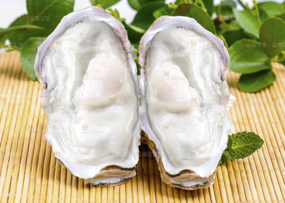 深底上的乳山生蚝