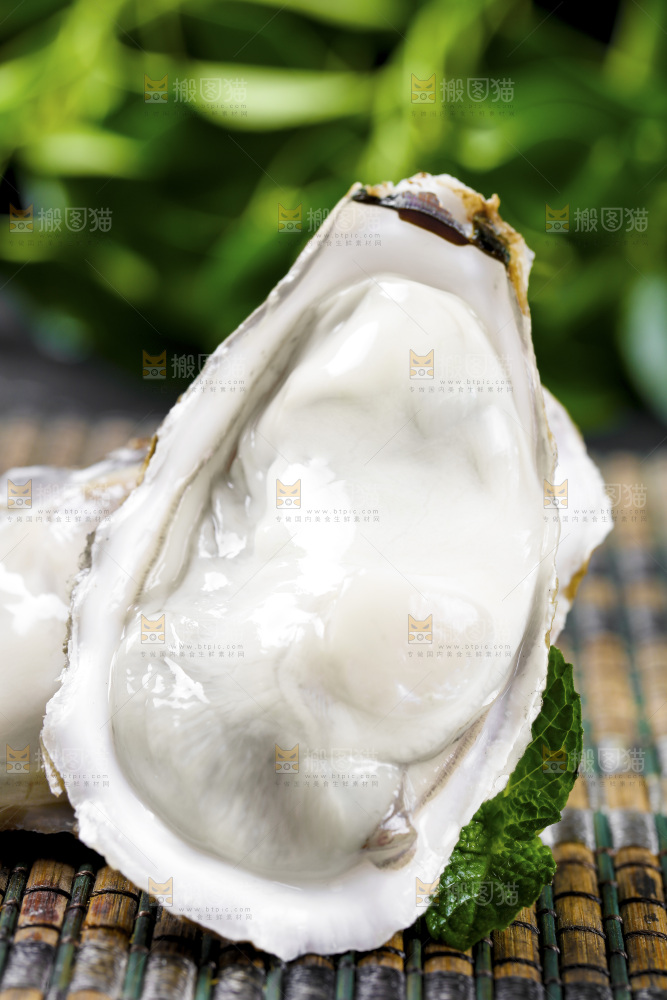 深底上的乳山生蚝