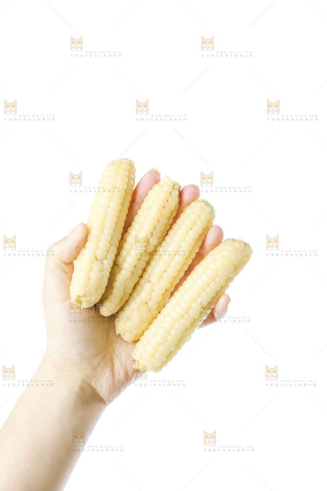 白底上的手指糯玉米