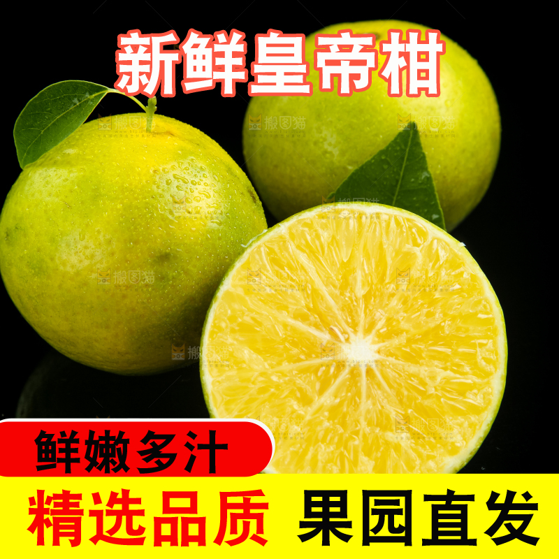 深底上的皇帝柑