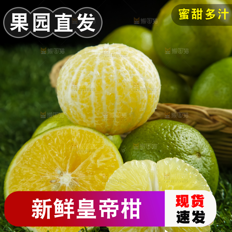 深底上的皇帝柑