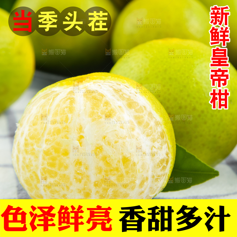 浅底上的皇帝柑