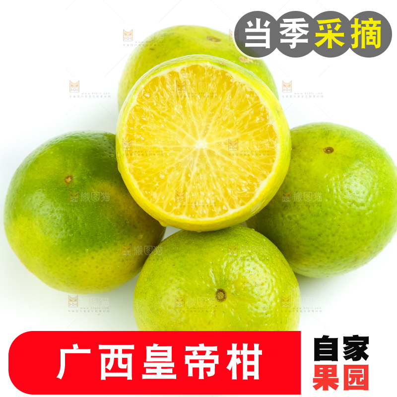 白底上的皇帝柑