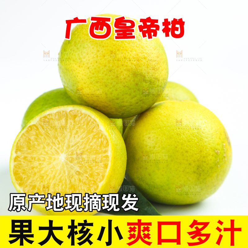 白底上的皇帝柑