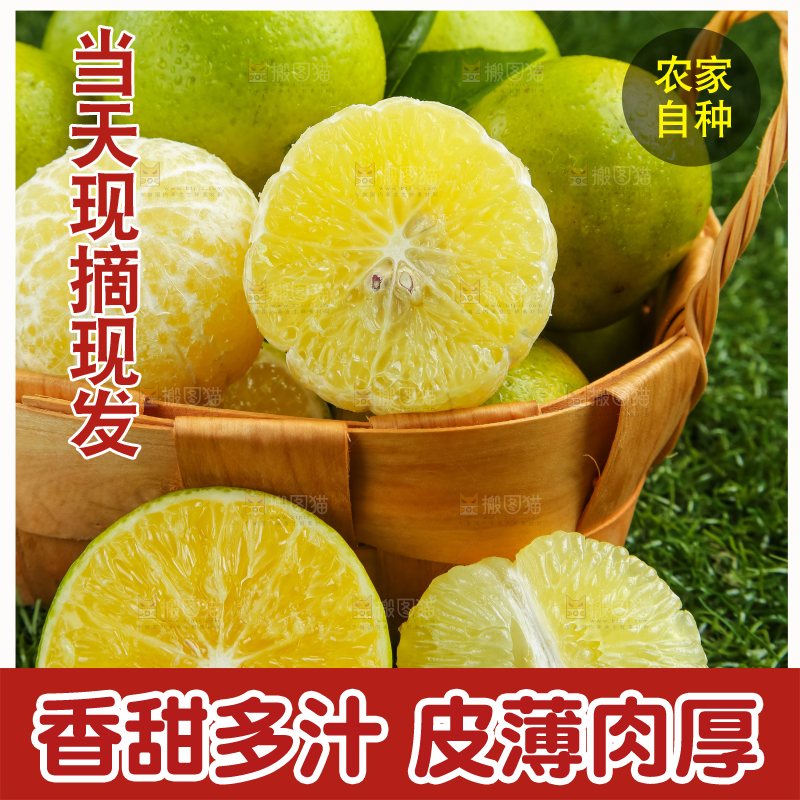 深底上的皇帝柑