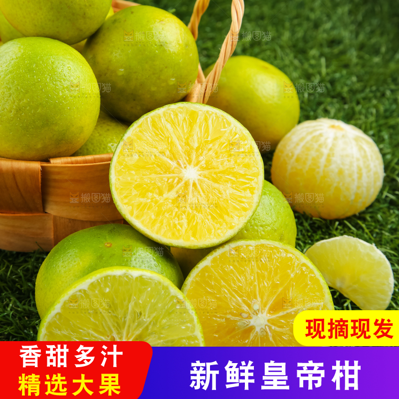 深底上的皇帝柑