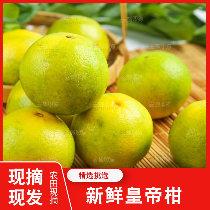 木底上的新鲜皇帝柑