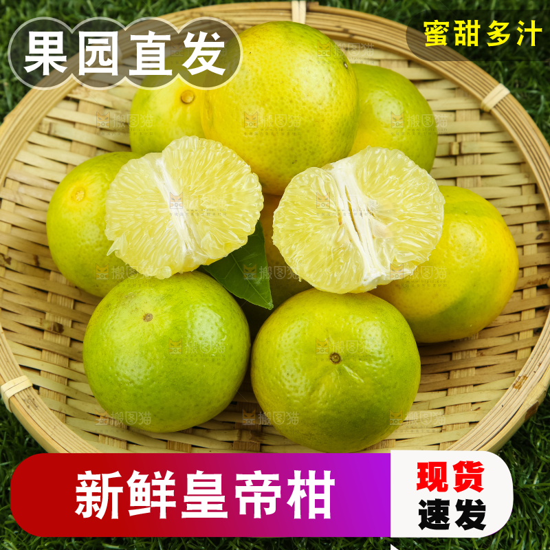 深底上的皇帝柑
