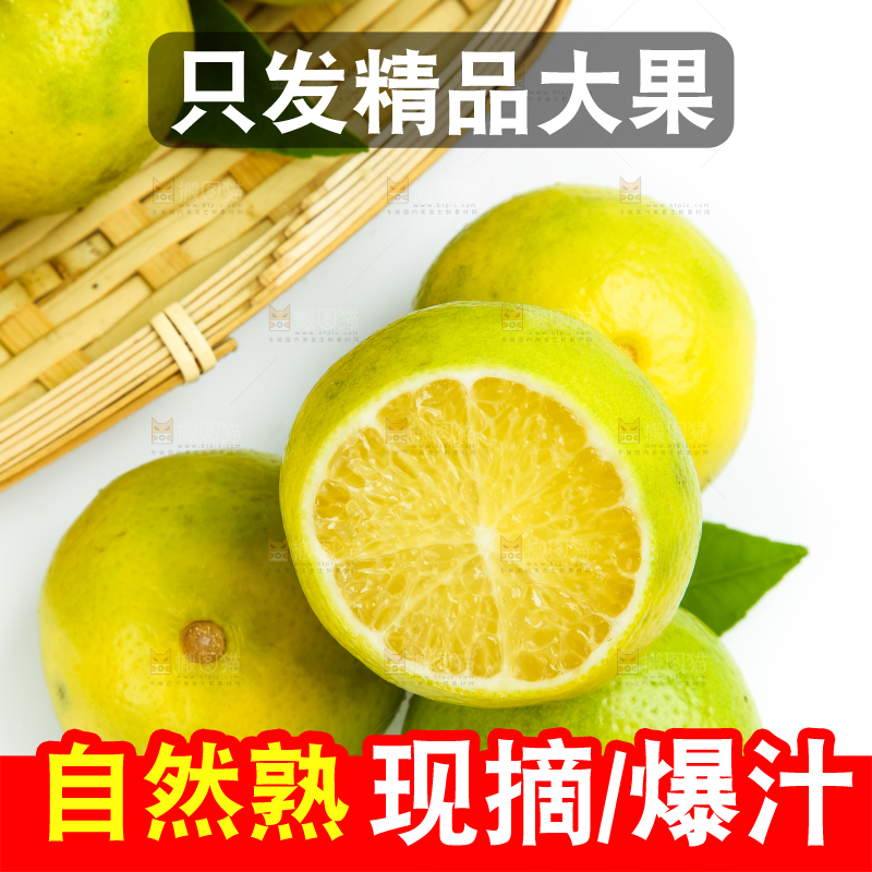 白底上的皇帝柑