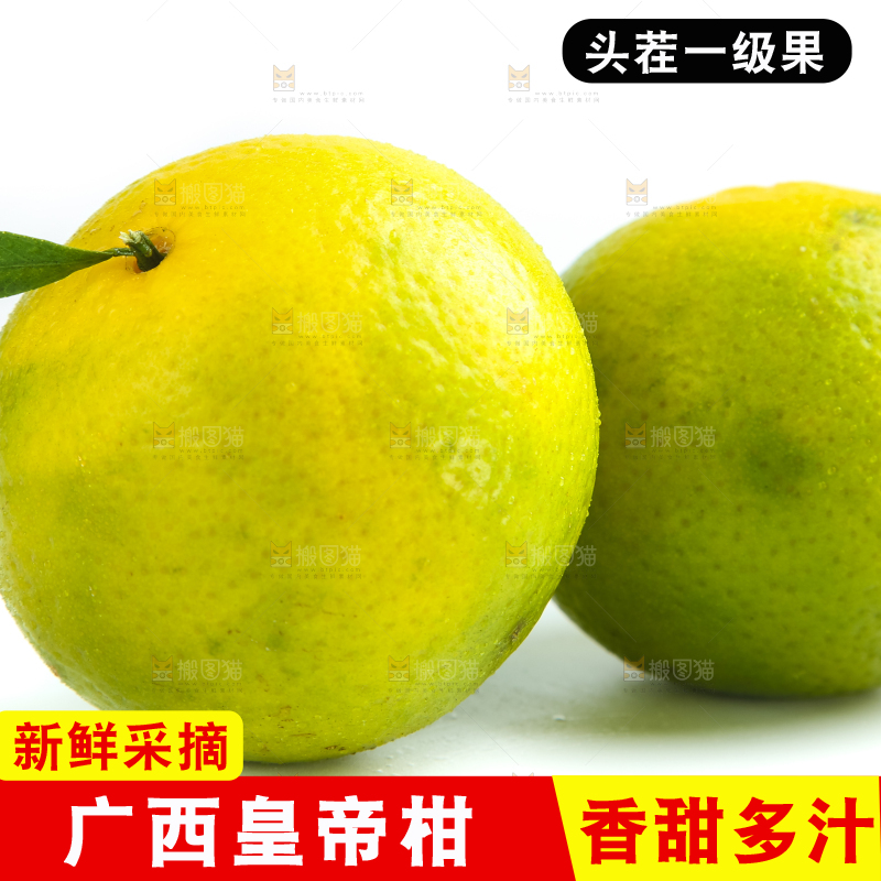 白底上的皇帝柑