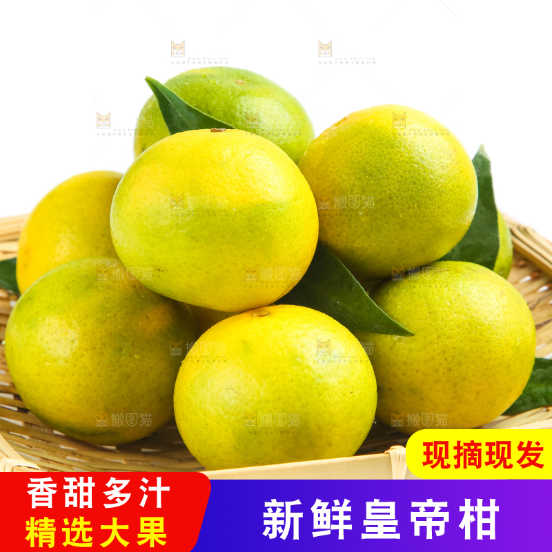白底上的皇帝柑