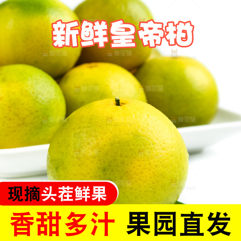 白底上的皇帝柑