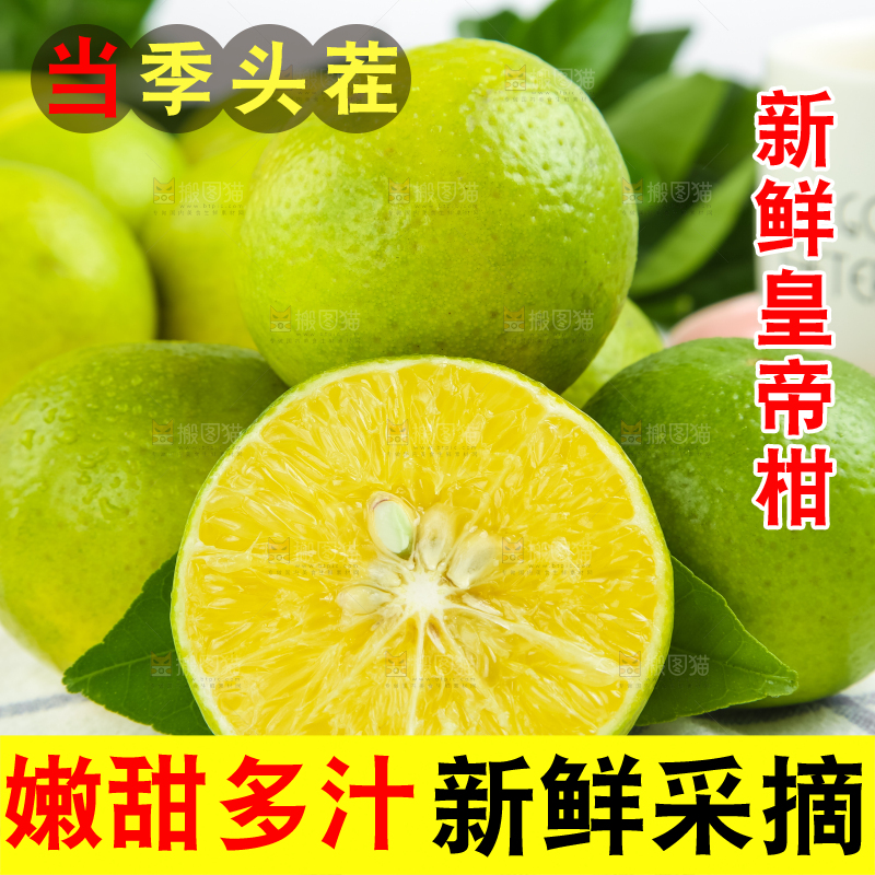 浅底上的皇帝柑