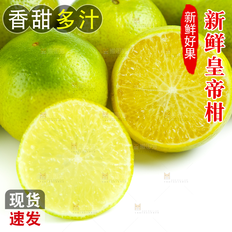白底上的皇帝柑