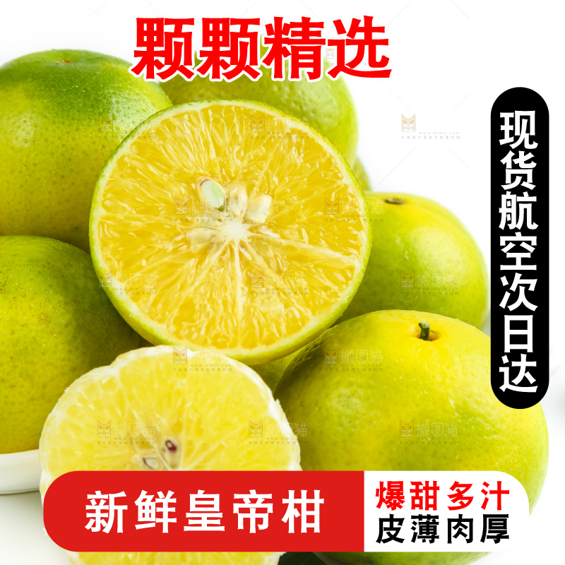 白底上的皇帝柑