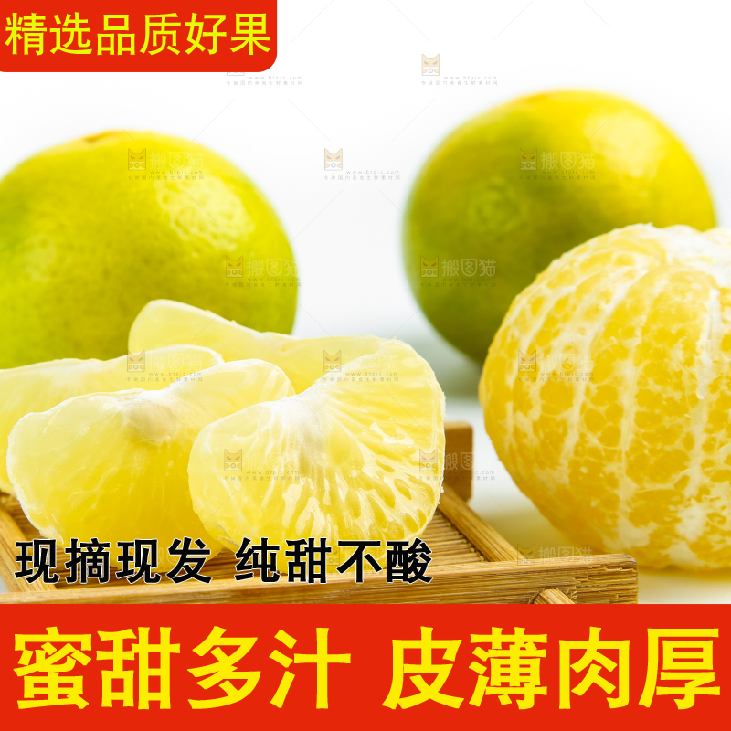 白底上的皇帝柑