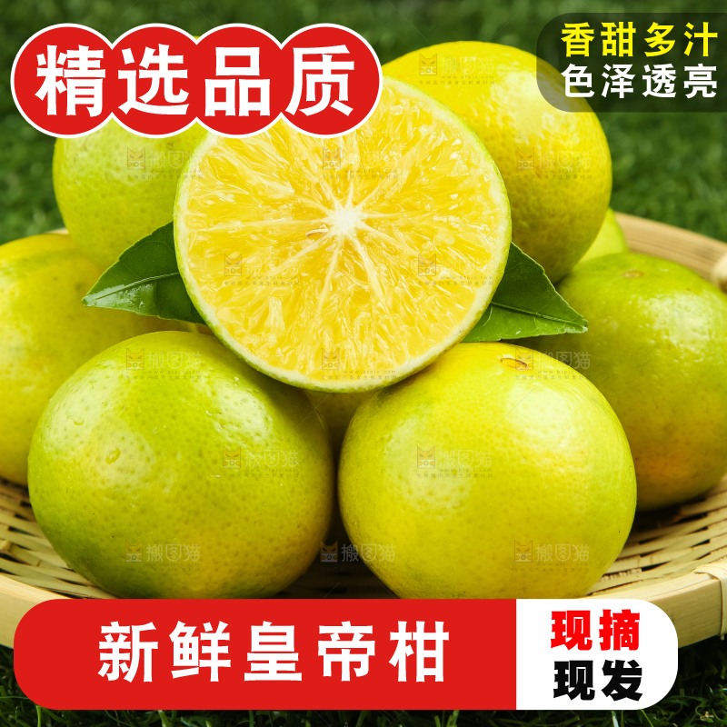 深底上的皇帝柑