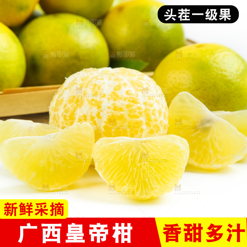 白底上的皇帝柑