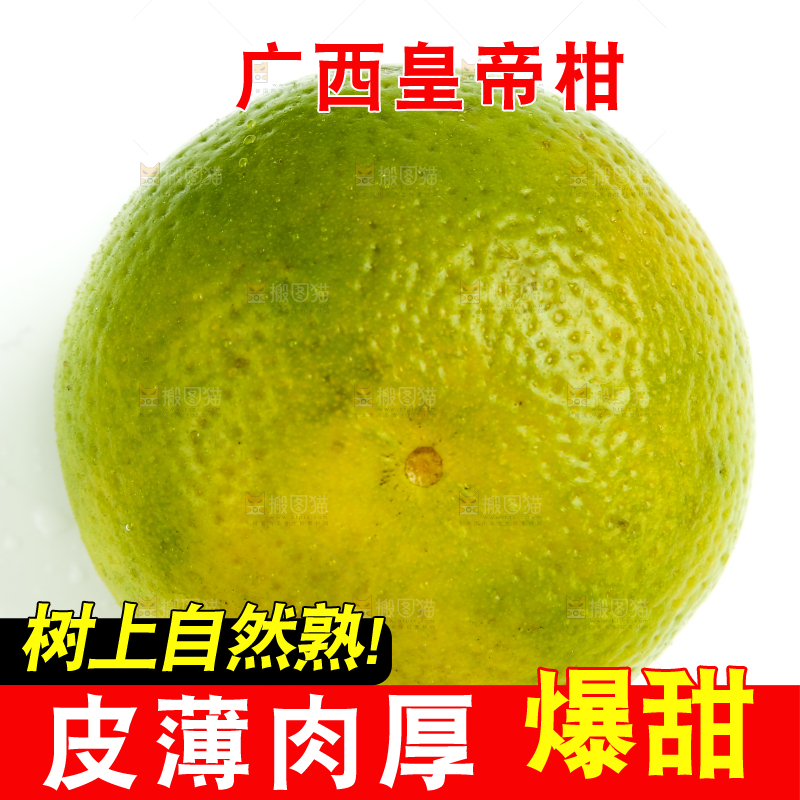 白底上的皇帝柑