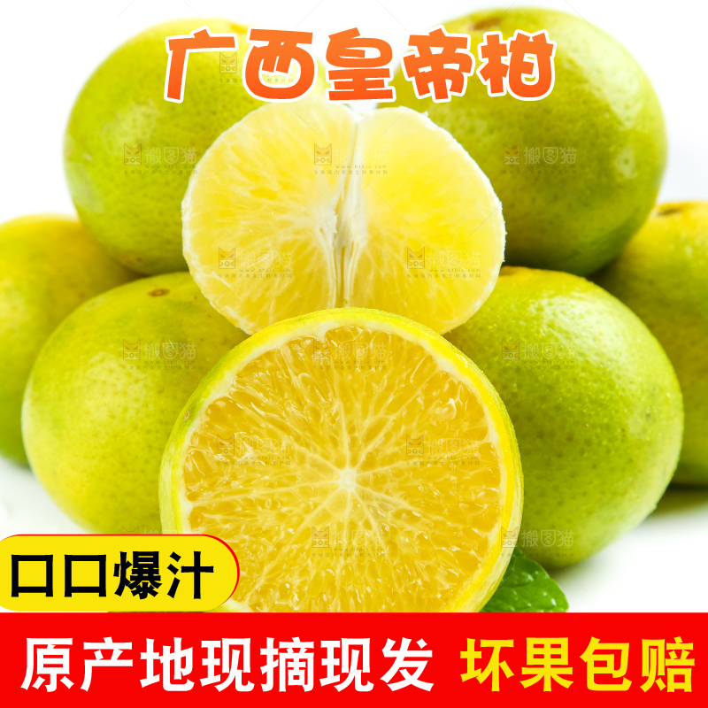 白底上的皇帝柑