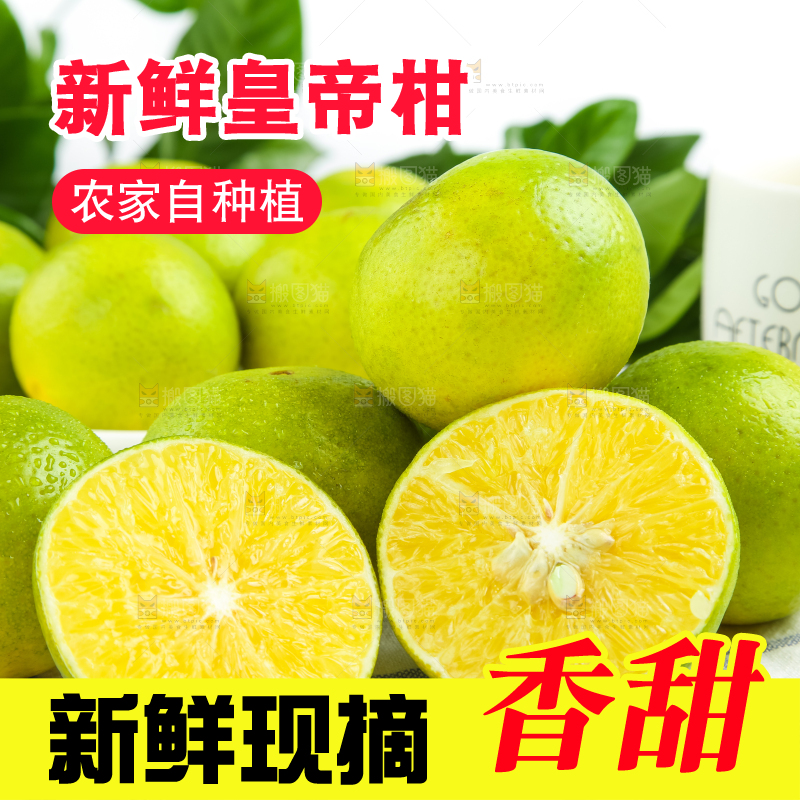 浅底上的皇帝柑