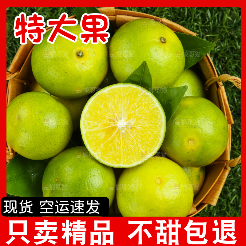 深底上的皇帝柑
