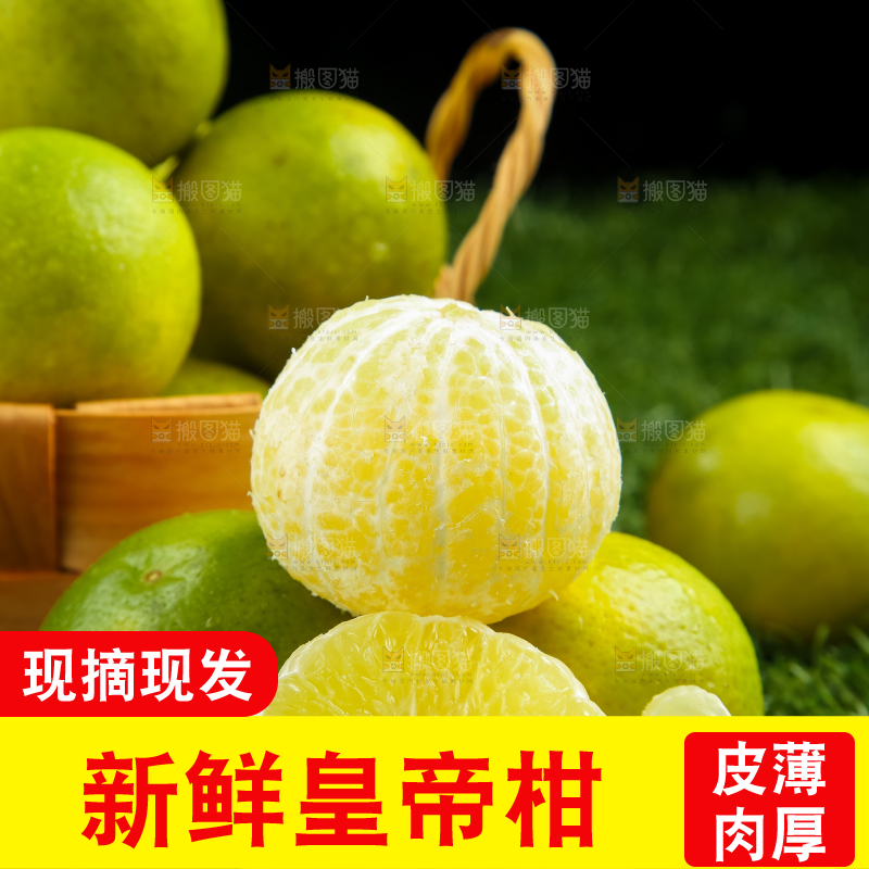 深底上的皇帝柑
