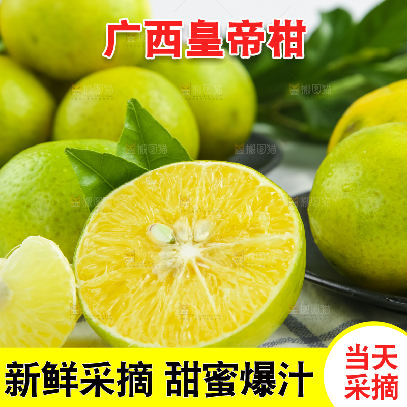 浅底上的皇帝柑