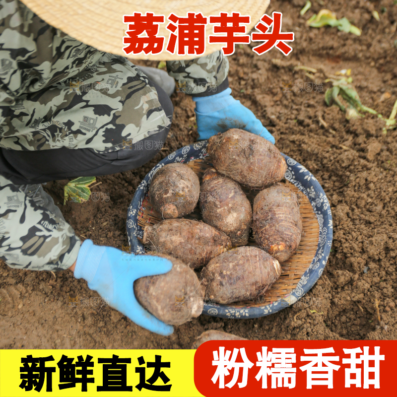 手里拿着荔浦芋头